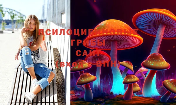 MESCALINE Надым