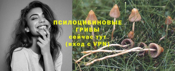 спиды Железногорск-Илимский