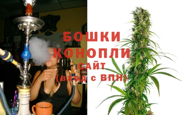 стаф Нефтегорск