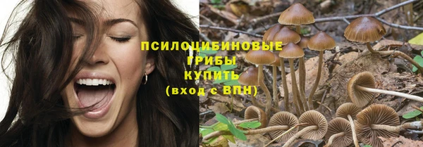 стаф Нефтегорск