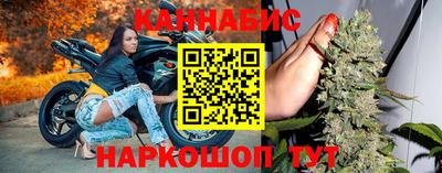хмурый Кингисепп