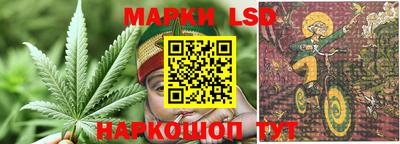 spice Апрелевка
