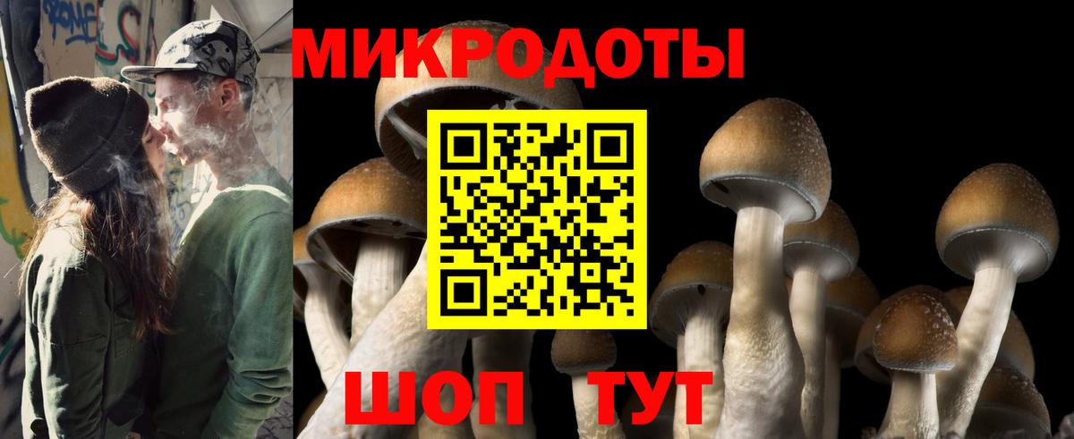 Кинель  Галлюциногенные грибы Psilocybe  где найти   Вход с VPN 