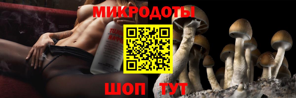 Галлюциногенные грибы Cubensis Кинель